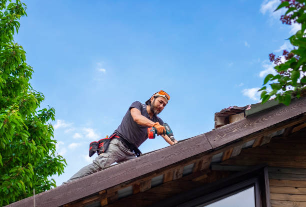 Best Gutter Replacement  in Mcmurray, PA