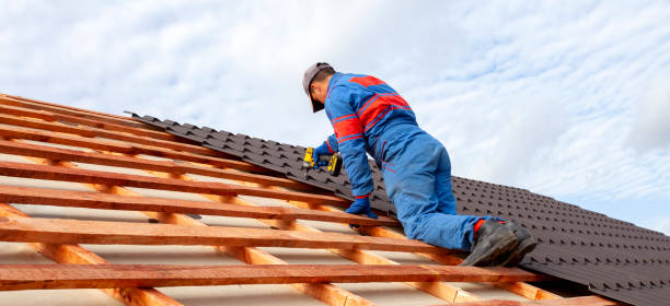 Best Roof Insulation Installation  in Mcmurray, PA